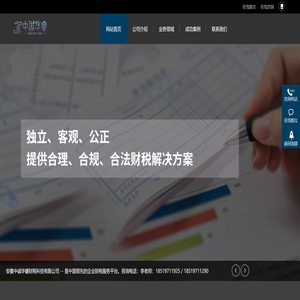 安徽中诚华睿财税科技有限公司