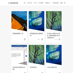 个人成长经历记录