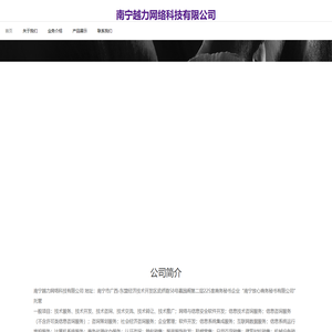 南宁越力网络科技有限公司