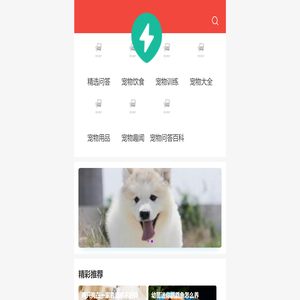 宠物大全