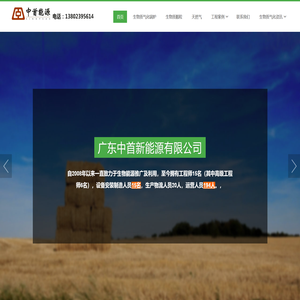 生物质气化炉