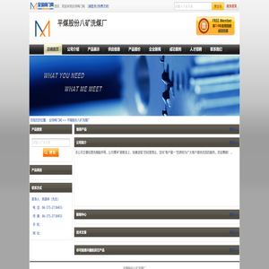 -平煤股份八矿洗煤厂