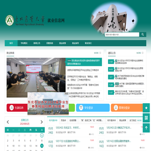 东北农业大学就业信息网