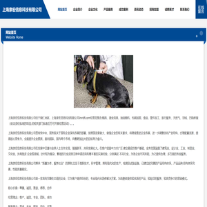 上海隶宏信息科技有限公司