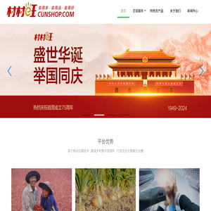 村村旺门户系统