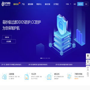 东方网域