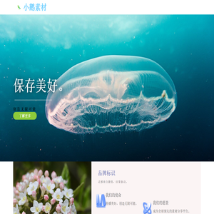 小鹅素材