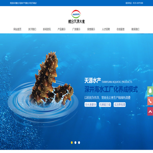 大菱鲆,牙鲆,圆斑星鲽,刺参,鱼苗,烟台天源水产有限公司
