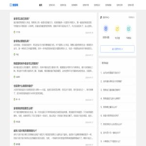 宠爱网