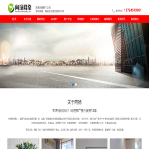 东莞网站优化
