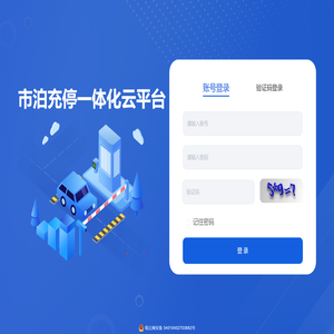 市泊充停一体化云平台