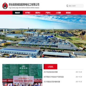 府谷县奥维加能焦电化工有限公司
