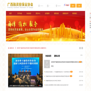 广西融资担保业协会