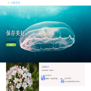 小鹅素材