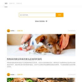 宠玩季