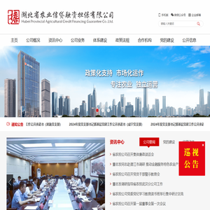 湖北省农业信贷融资担保有限公司