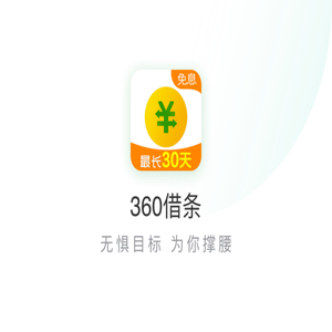360借条