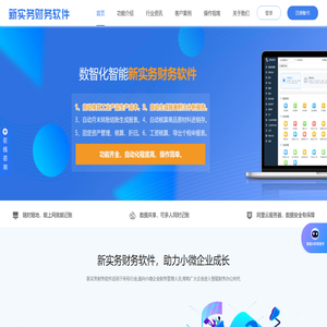 新实务财务软件