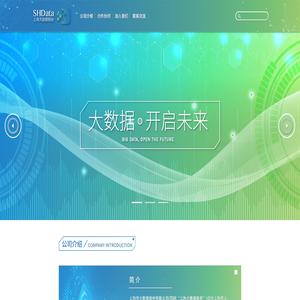 上海市大数据股份有限公司