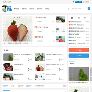 给力草莓网