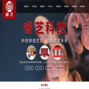 连云港睿芝科技发展有限公司