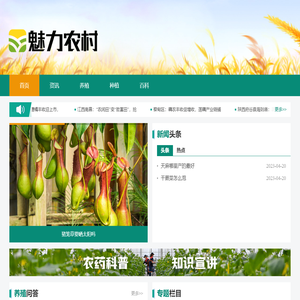 魅力农村