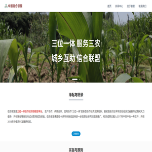 中国信合联盟