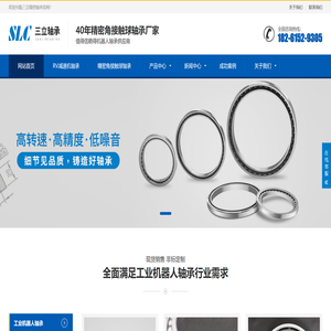 RV减速器轴承