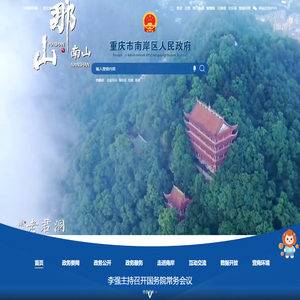重庆市南岸区人民政府网