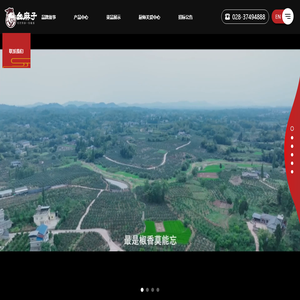 幺麻子食品股份有限公司