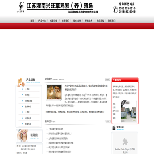 江苏乡月专业草鸡苗孵化厂
