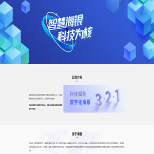 海银网络科技