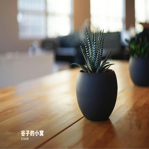 谷子的小窝