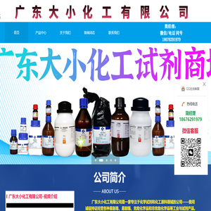 广东大小化工有限公司官网