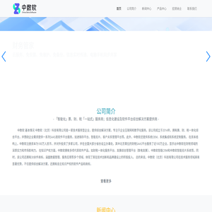 中数软