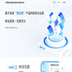 广西南宁盈利信息技术有限公司