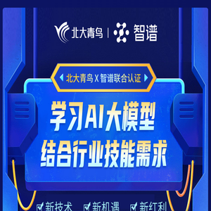 AI大模型应用开发