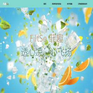 菲趣FiltSe