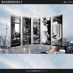 湖北省蒂轮商贸有限公司官网