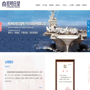 株洲宏明日望电子科技股份有限公司