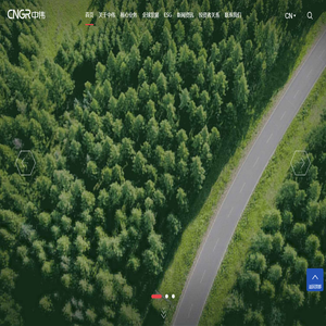 中伟新材料股份有限公司