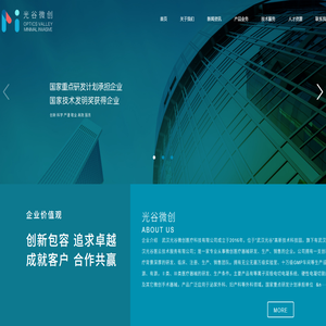 武汉光谷微创医疗科技有限公司