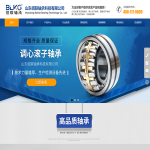 山东佰联轴承科技有限公司