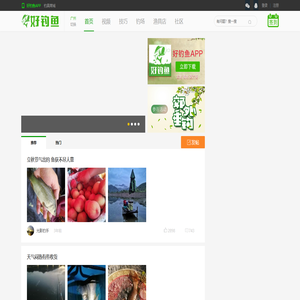 好钓鱼
