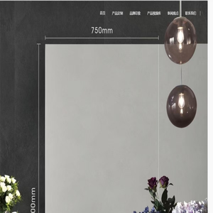 长沙宝品安商贸有限公司