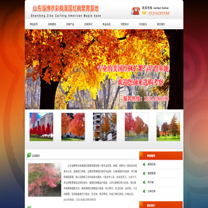 美国红枫,美国红枫扦插苗,美国红枫小苗