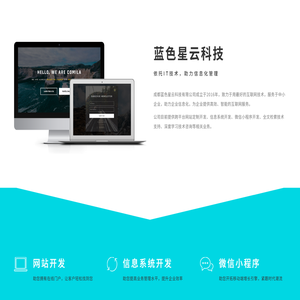 成都蓝色星云科技有限公司