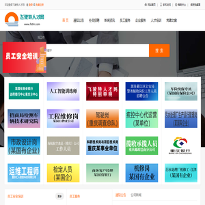 飞驶特人才网