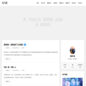 当飞网
