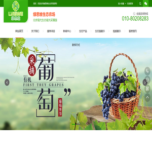 绿思维生态农场北京现代生态观光采摘园